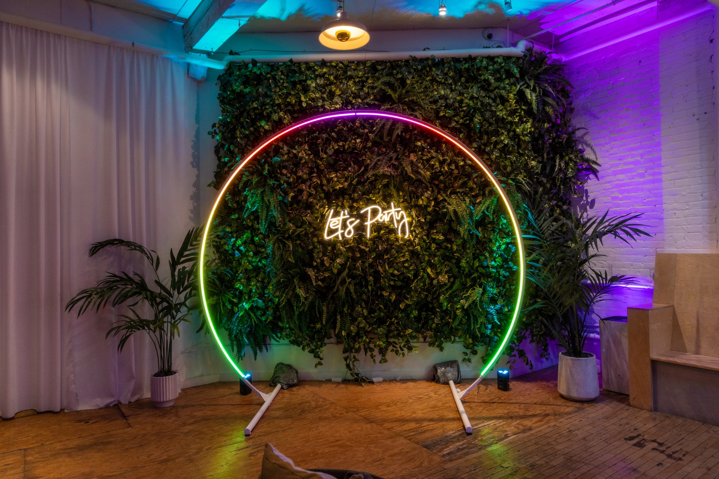 Colorful neon circle with "Let's Party" sign on green wall backdrop, with plants and indoor lighting.