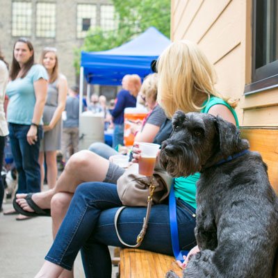 People and a dog at an outdoor gathering with tents in the background.