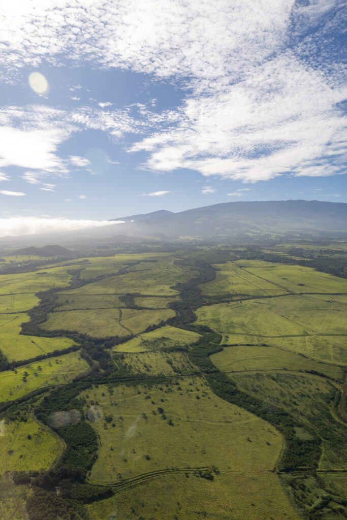 Maverick Helicopters ECO-Star above Maui agriculture.